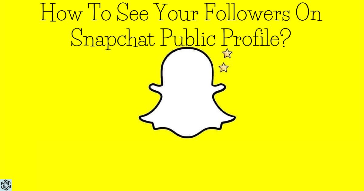 How To See Your Followers On Snapchat Public Profile?